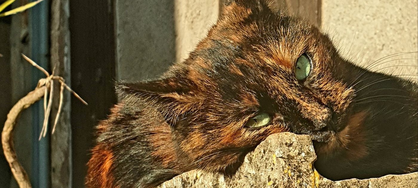 EXPLORE SMALLER TOWNS